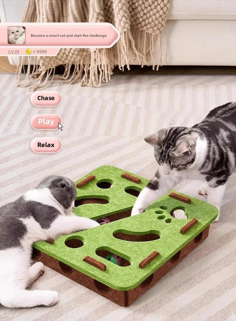 Felt Cat Puzzle Box with Ball – Interactive Hunting & Exercise Toy