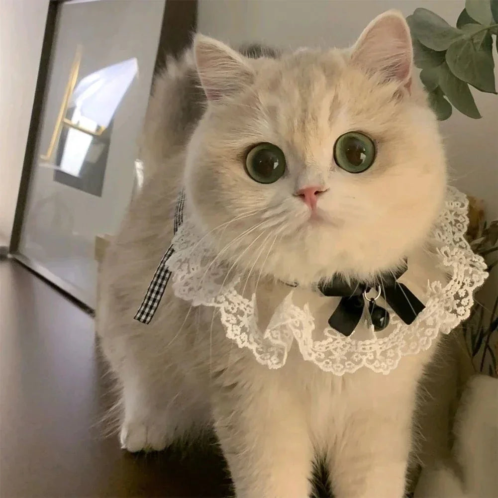 Elegant Lace Pearl Pet Collar with Bow – Adjustable Neck Scarf for Cats & Dogs
