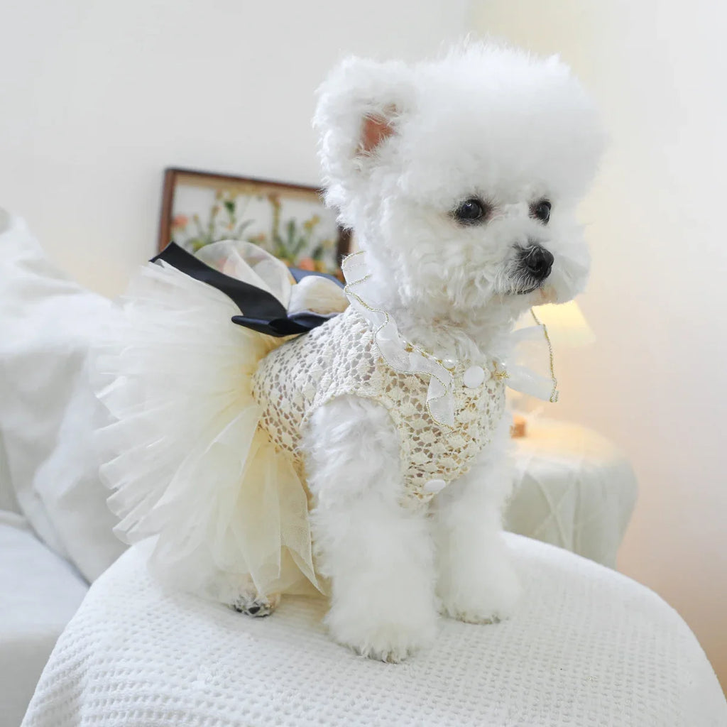Luxury Pearl Lace Pet Wedding Dress – Coco Style Tutu for Small Dogs & Cats