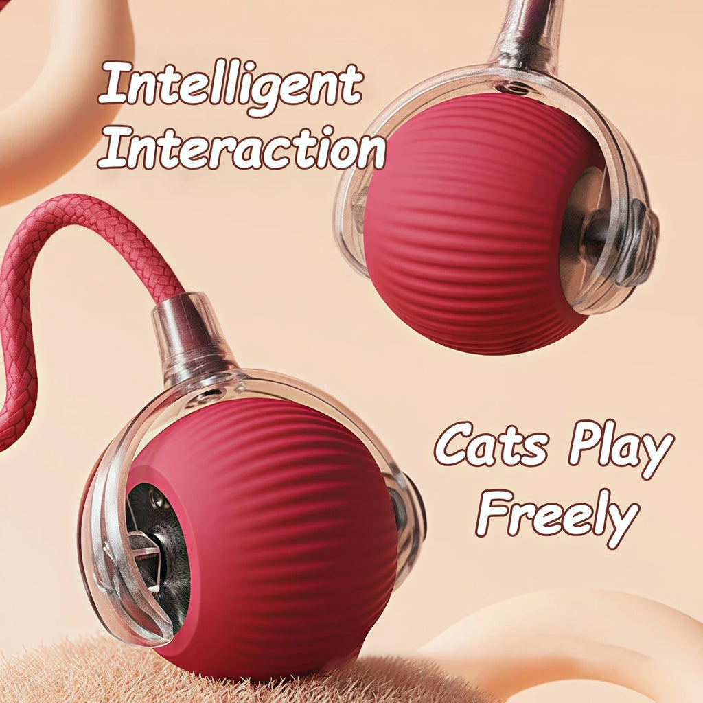 Automatic Interactive Rolling Ball with Faux Tail – Rechargeable Smart Cat & Dog Toy