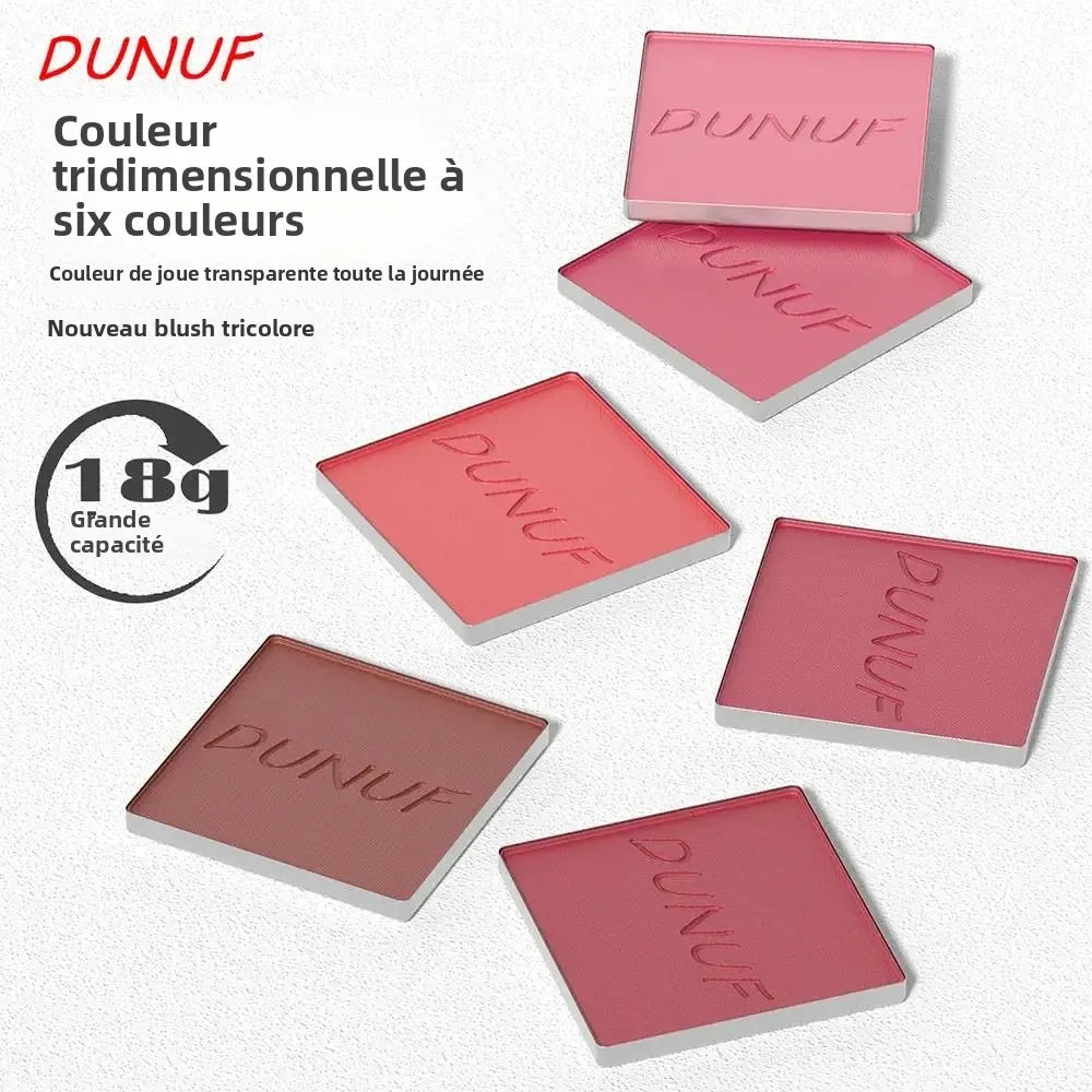 Palette de blush poudre  longue tenue – 6 couleurs, finition mate et scintillante, highlighter et bronzer – Haute pigmentation, waterproof, maquillage contour