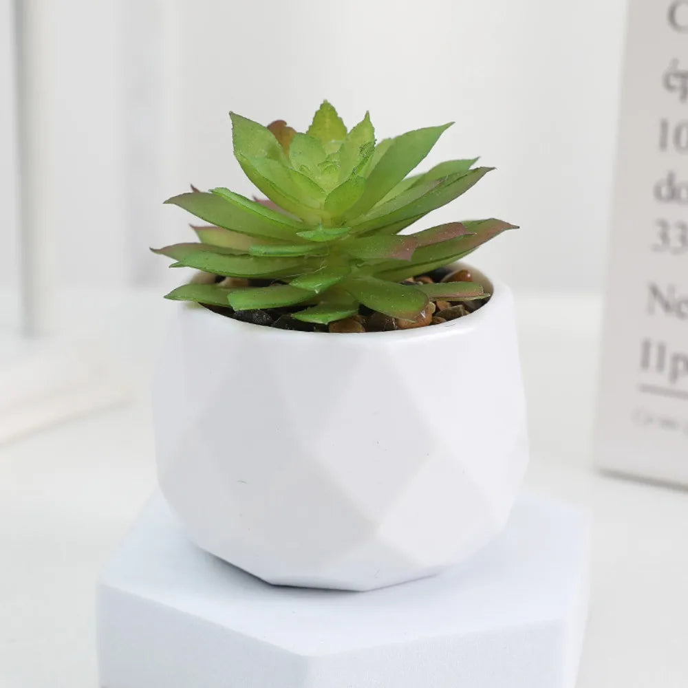 Artificial Succulent Bonsai Plant – Mini Decorative Fake Cactus & Succulent