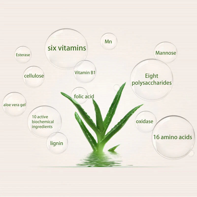 Poudre Compacte 99% Aloe Vera – Fond de Teint Lissant, Anti-Pores, Correctrice, Éclaircissante et Illuminatrice