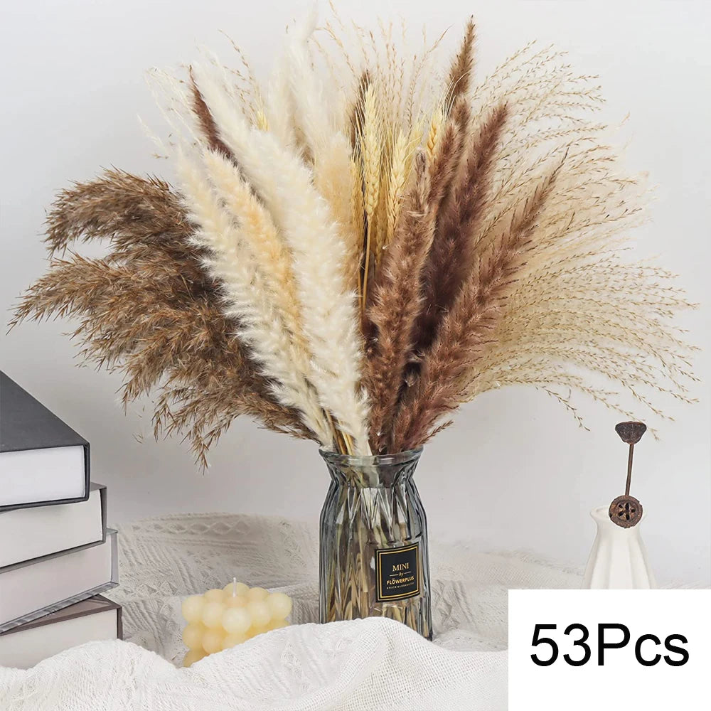 Natural Pampas Grass Bouquet – Boho Bunny Tail Dried Flower Décor