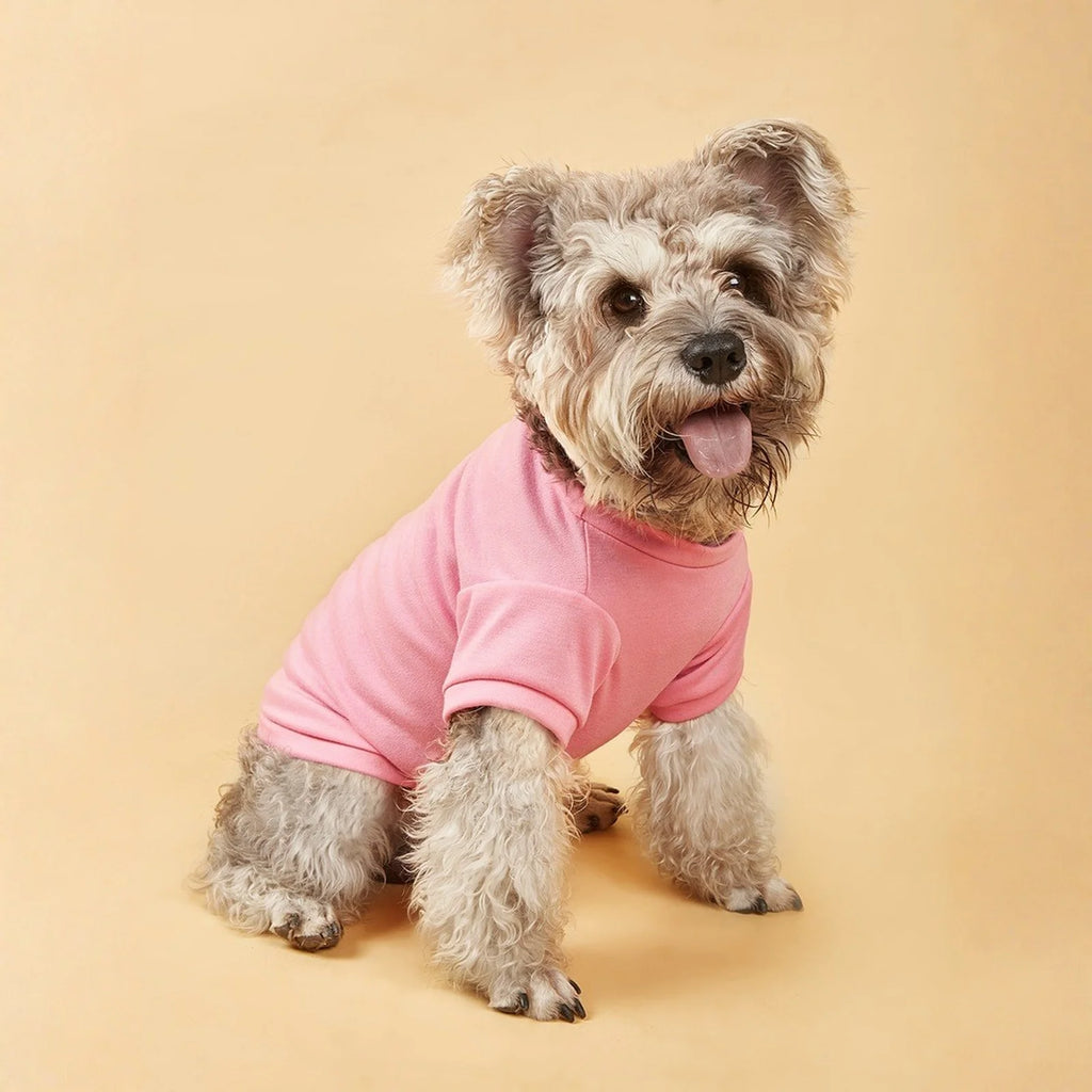Breathable Dog T-Shirt – Lightweight Summer Vest for Dogs