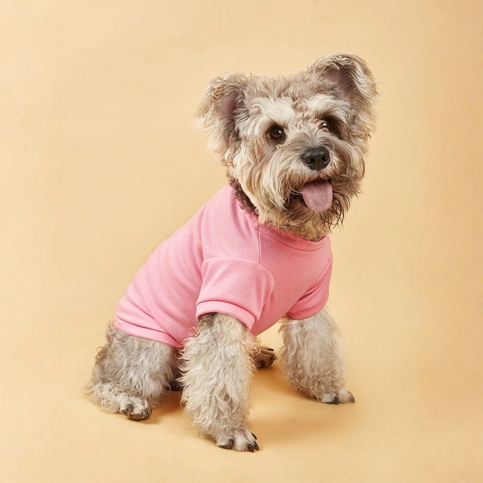 Breathable Dog T-Shirt – Lightweight Summer Vest for Dogs