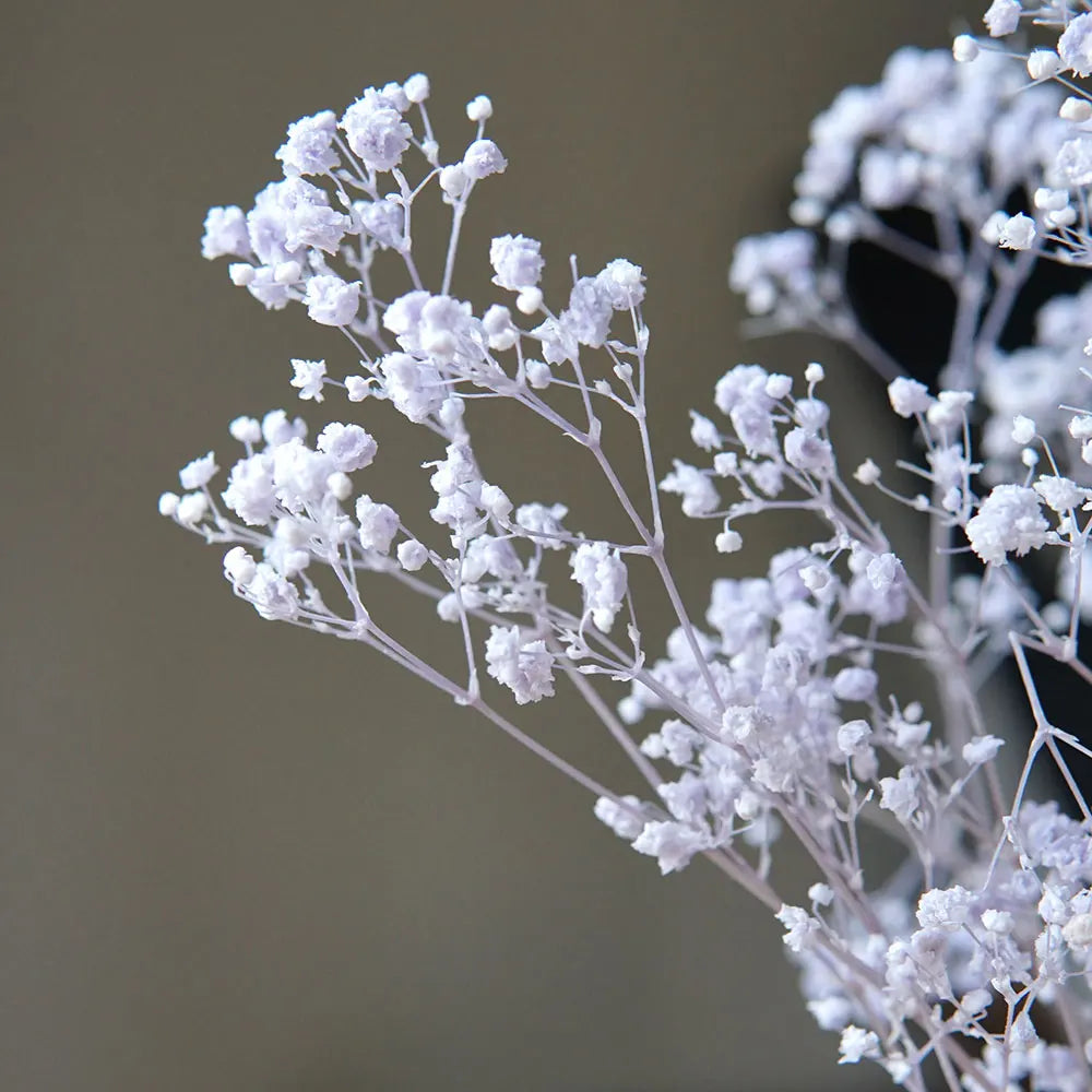 Natural Preserved Dried Baby’s Breath Flowers – Decorative Gypsophila Bouquet