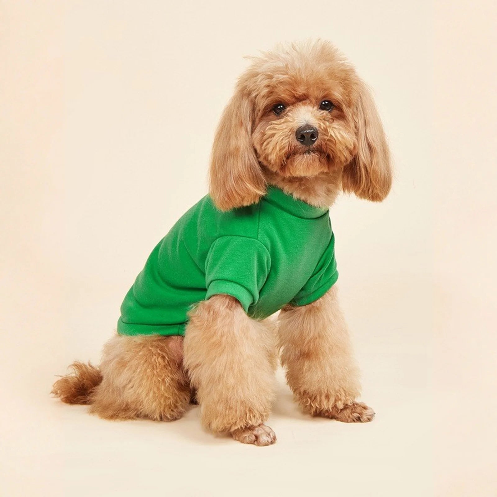 Breathable Dog T-Shirt – Lightweight Summer Vest for Dogs