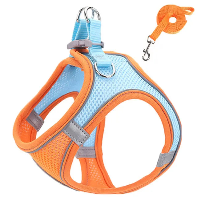 Reflective Adjustable Pet Harness & Leash Set – For Cats & Small Dogs
