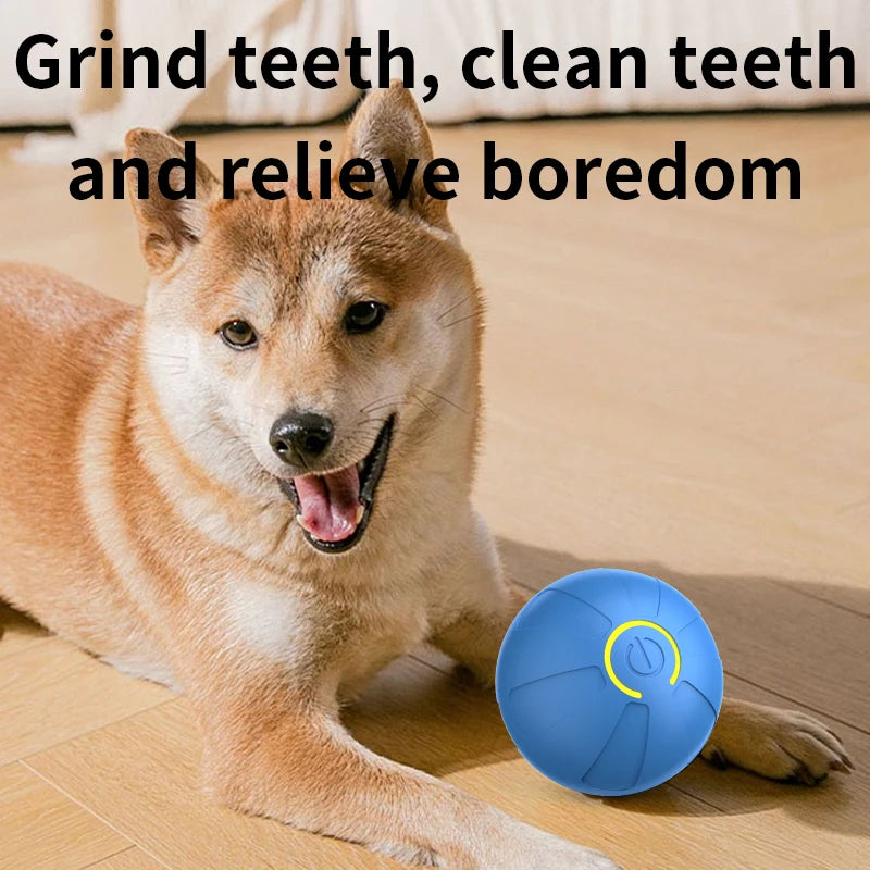 Smart Automatic Rolling Dog Ball – USB Rechargeable Interactive Pet Toy