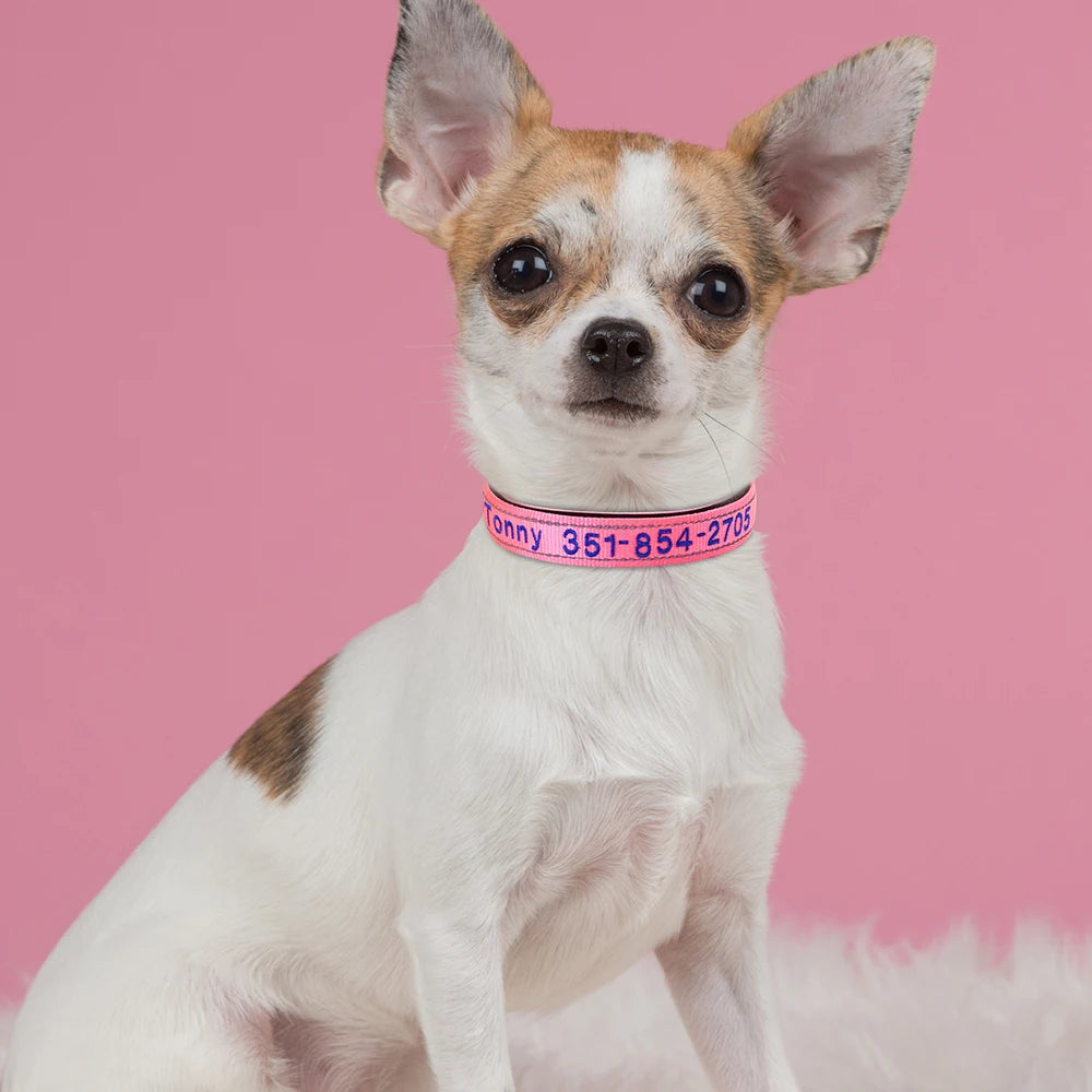 Personalized Embroidered Reflective Dog & Cat Collar – Custom Name & Phone ID