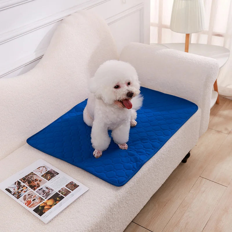 Reusable Washable Dog Pee Pad – Absorbent Pet Training & Protection Mat