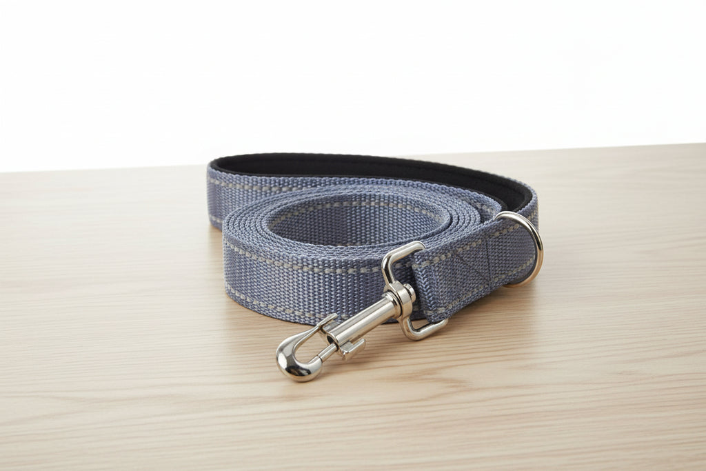 Reflective Pet Leash – Adjustable Walking & Training Lead for Dogs & Cats