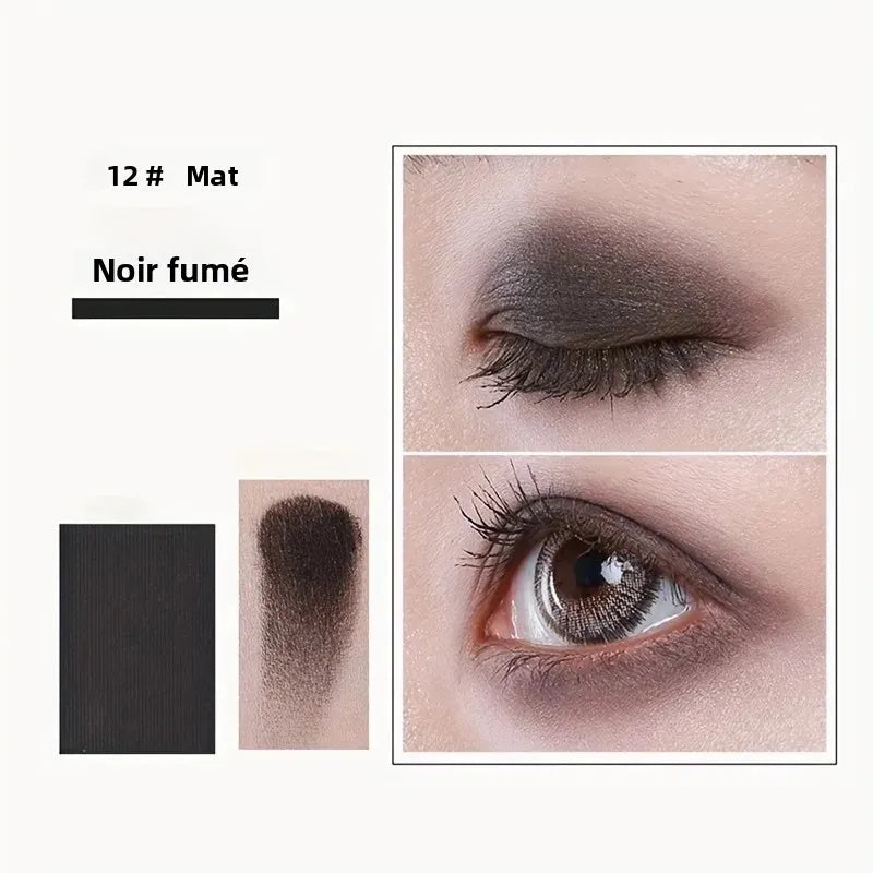 Palette fards à paupières professionnelle 12 couleurs, nudes mats et scintillants, maquillage yeux pour maquilleurs