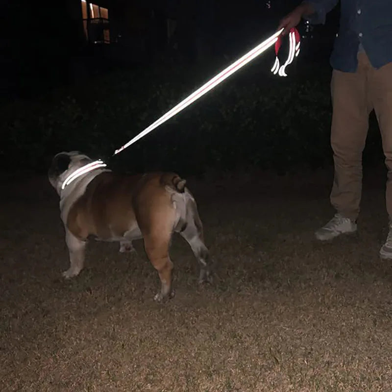 Reflective Pet Leash – Adjustable Walking & Training Lead for Dogs & Cats