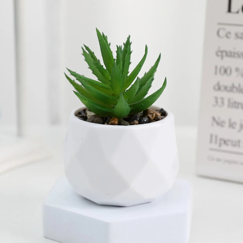 Artificial Succulent Bonsai Plant – Mini Decorative Fake Cactus & Succulent