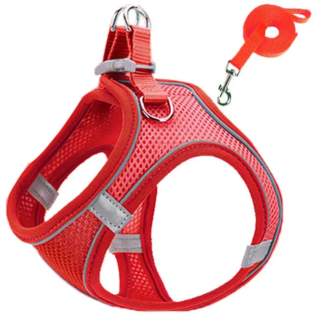 Reflective Adjustable Pet Harness & Leash Set – For Cats & Small Dogs