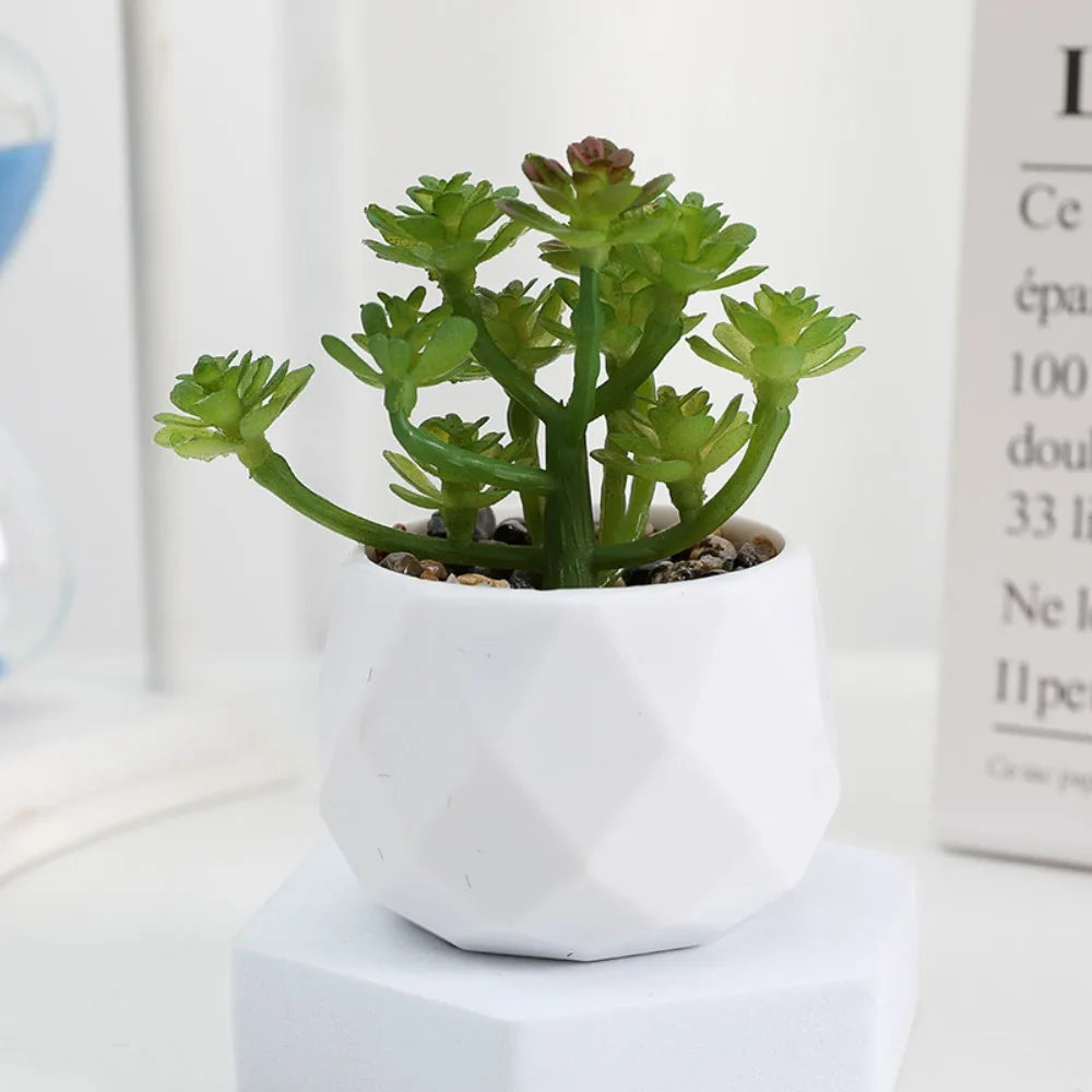 Artificial Succulent Bonsai Plant – Mini Decorative Fake Cactus & Succulent