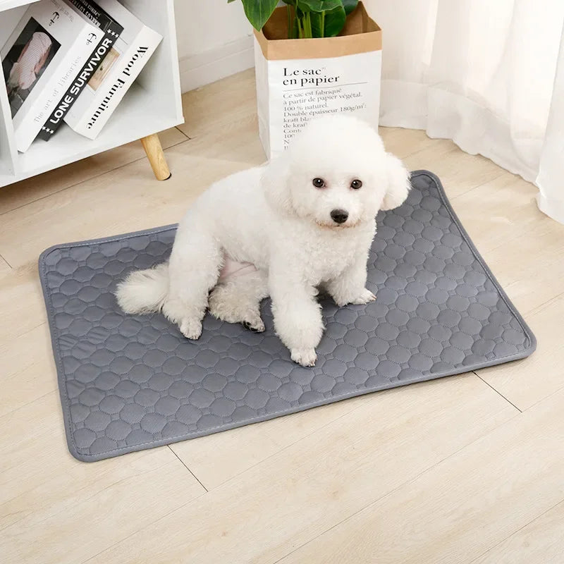 Reusable Washable Dog Pee Pad – Absorbent Pet Training & Protection Mat