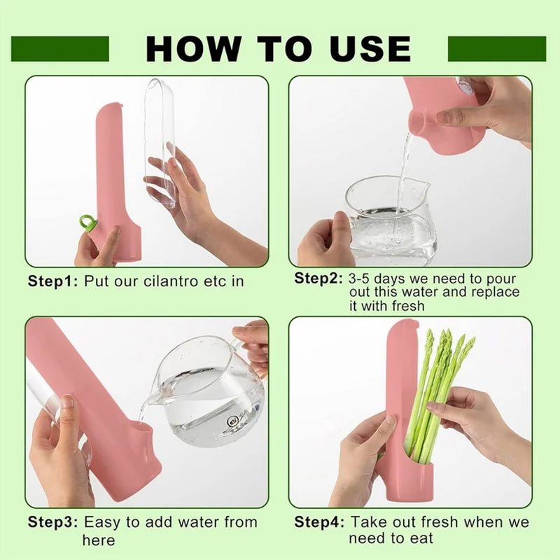 Fresh Herb Keeper Storage Container – Herb & Vegetable Preservation Bottle