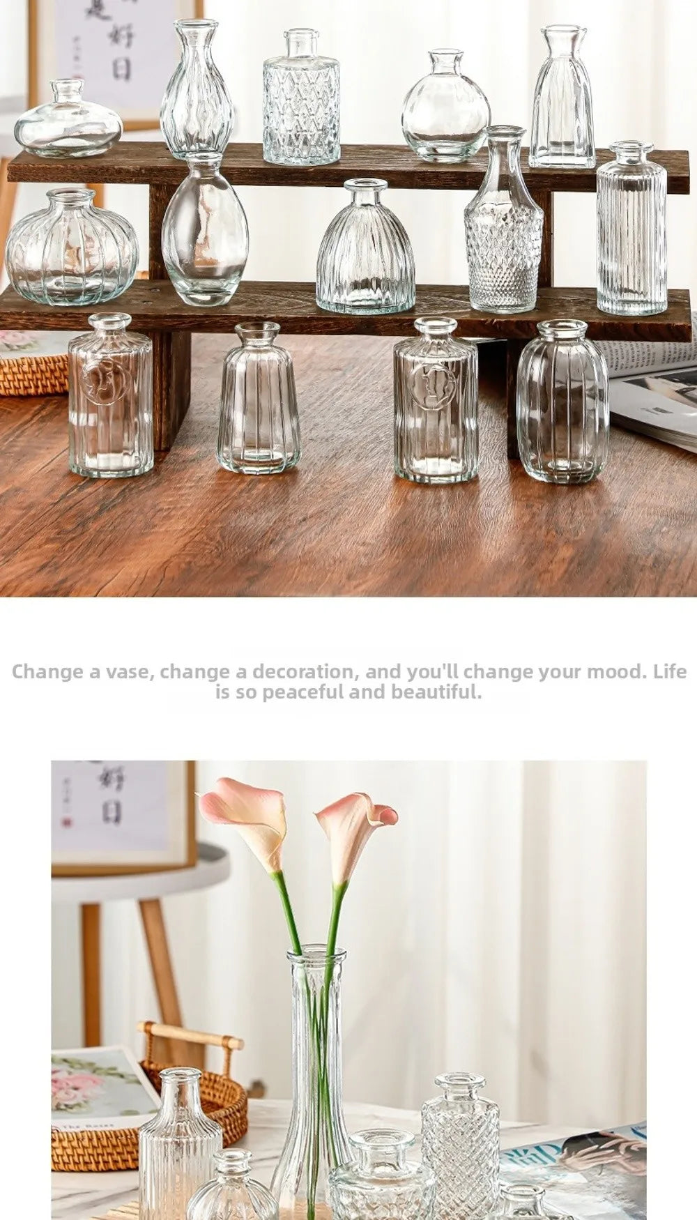 Mini Glass Vase Set – Transparent Hydroponic Flower Vases for Floral Arrangements & Home Decor