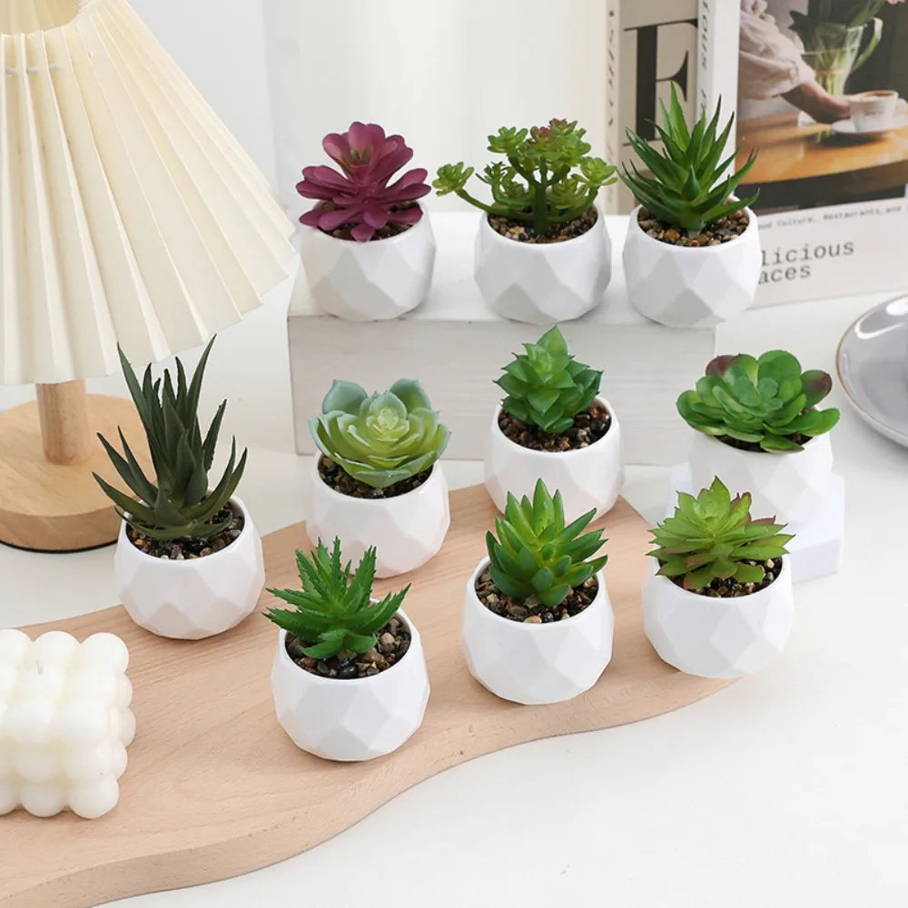 Artificial Succulent Bonsai Plant – Mini Decorative Fake Cactus & Succulent