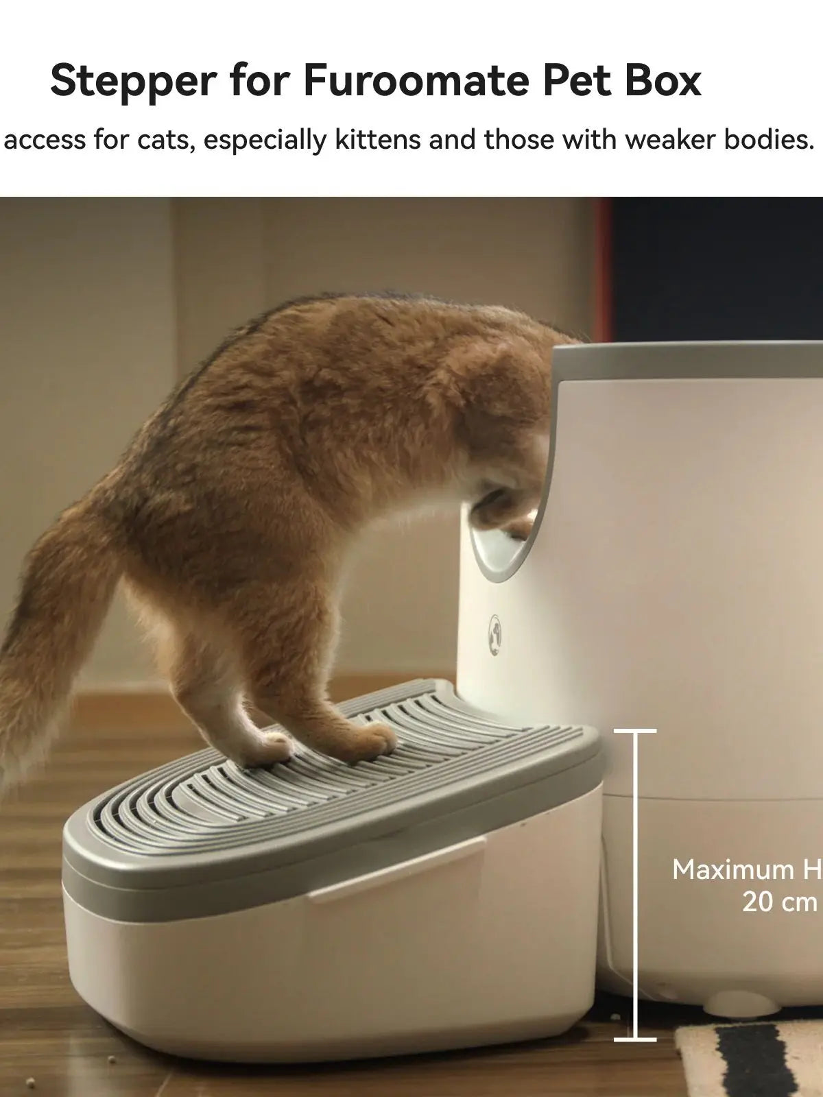 Self-Cleaning Open-Top Cat Litter Box – Extra Large Automatic Litter Box