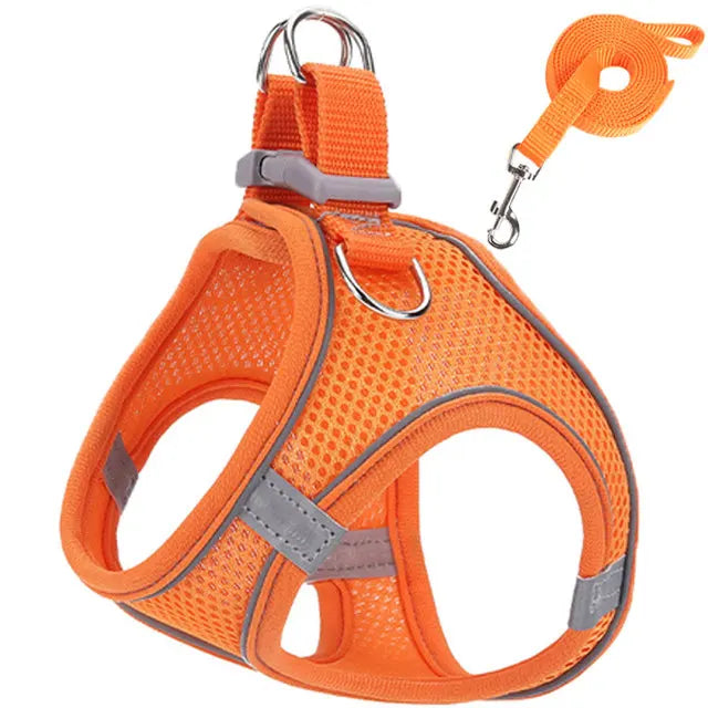 Reflective Adjustable Pet Harness & Leash Set – For Cats & Small Dogs