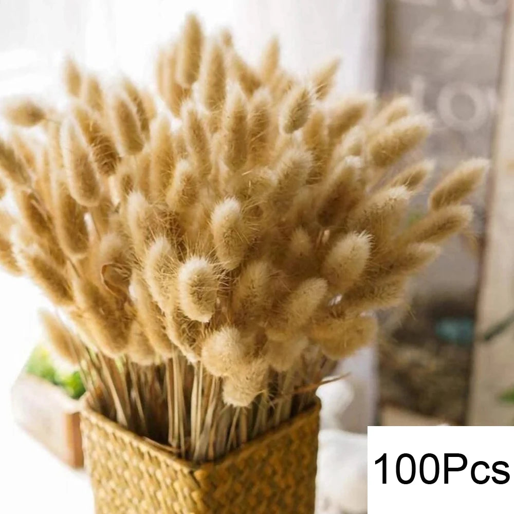 Natural Pampas Grass Bouquet – Boho Bunny Tail Dried Flower Décor