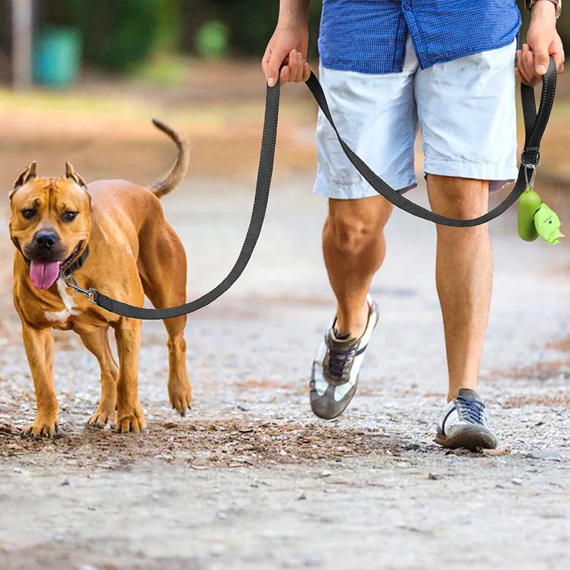 Reflective Pet Leash – Adjustable Walking & Training Lead for Dogs & Cats