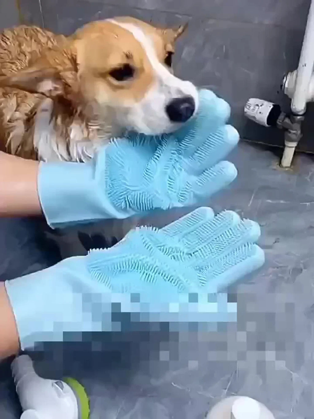 Silicone Pet Grooming Glove – Bathing, Deshedding & Massage Brush for Dogs & Cats