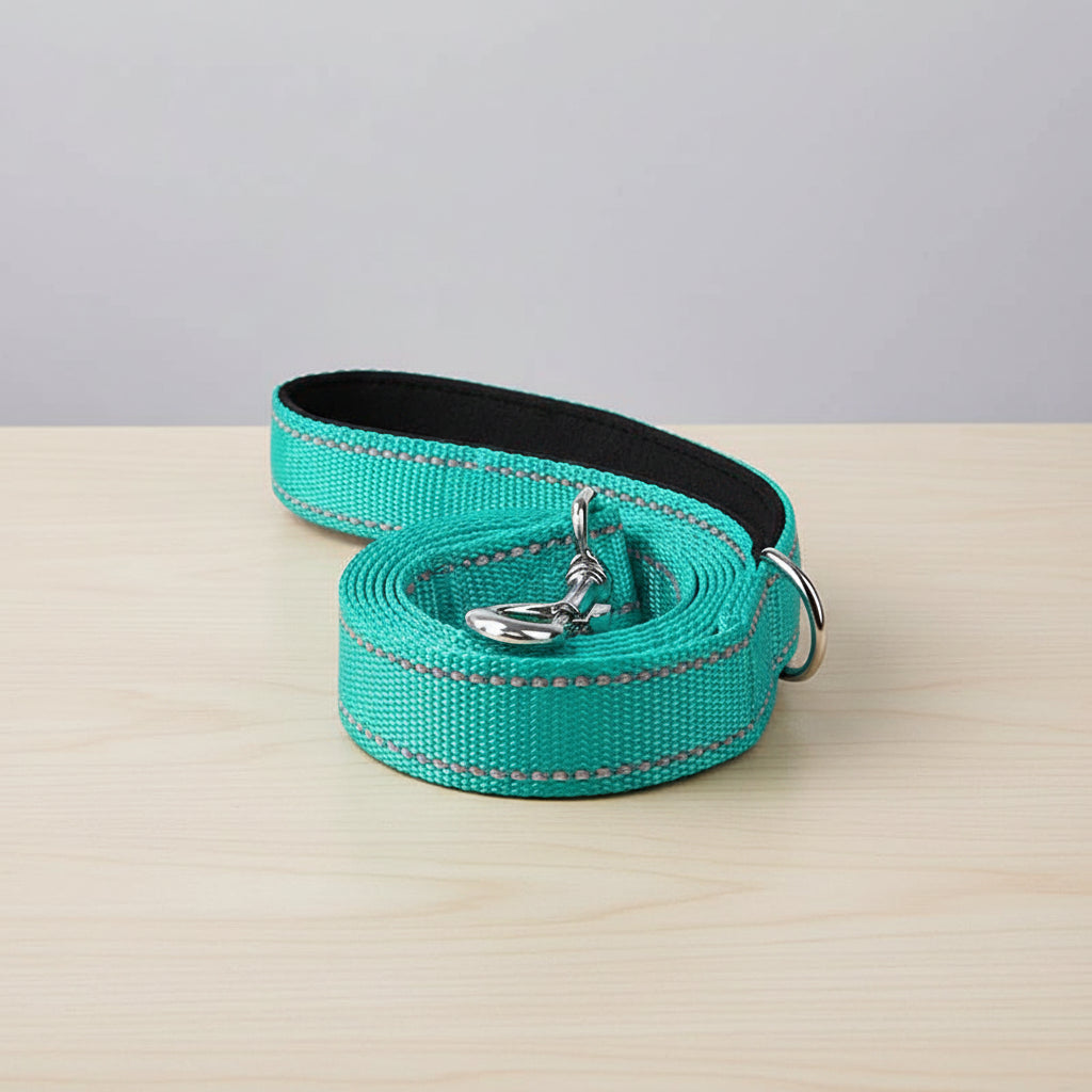 Reflective Pet Leash – Adjustable Walking & Training Lead for Dogs & Cats