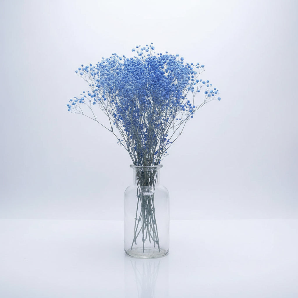 Natural Preserved Dried Baby’s Breath Flowers – Decorative Gypsophila Bouquet