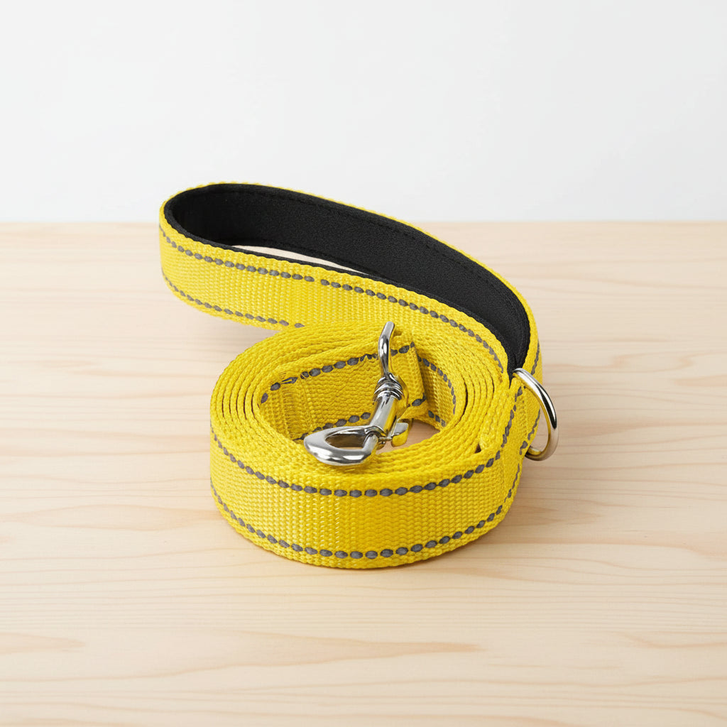 Reflective Pet Leash – Adjustable Walking & Training Lead for Dogs & Cats