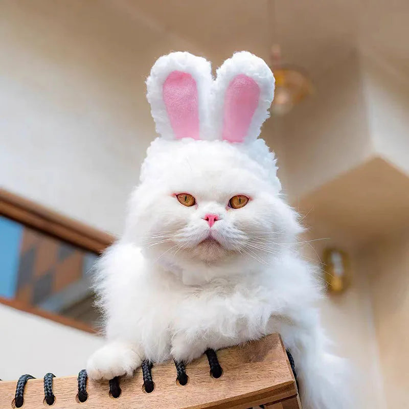 Cute Bear & Bunny Hooded Pet Hat – Soft Velvet Winter Costume for Cats & Dogs