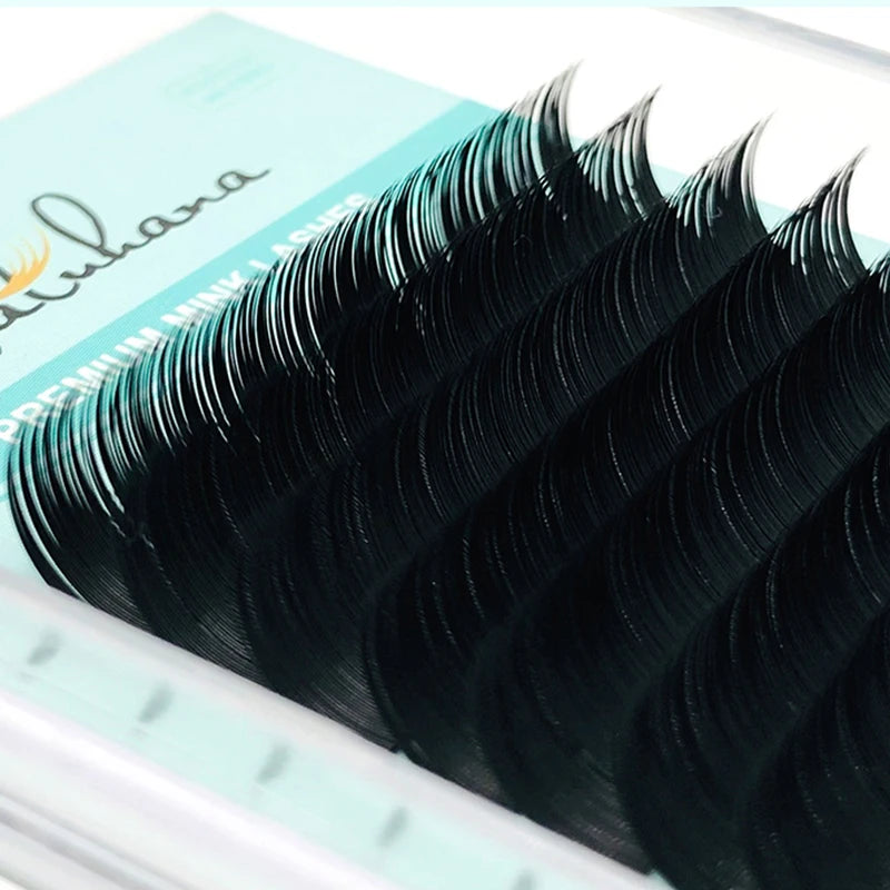 Extensions de Cils 16 Rangées B C CC D Cils Individuels Faux Naturels Doux Mink Haute Qualité Mat