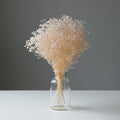 Natural Preserved Dried Baby’s Breath Flowers – Decorative Gypsophila Bouquet