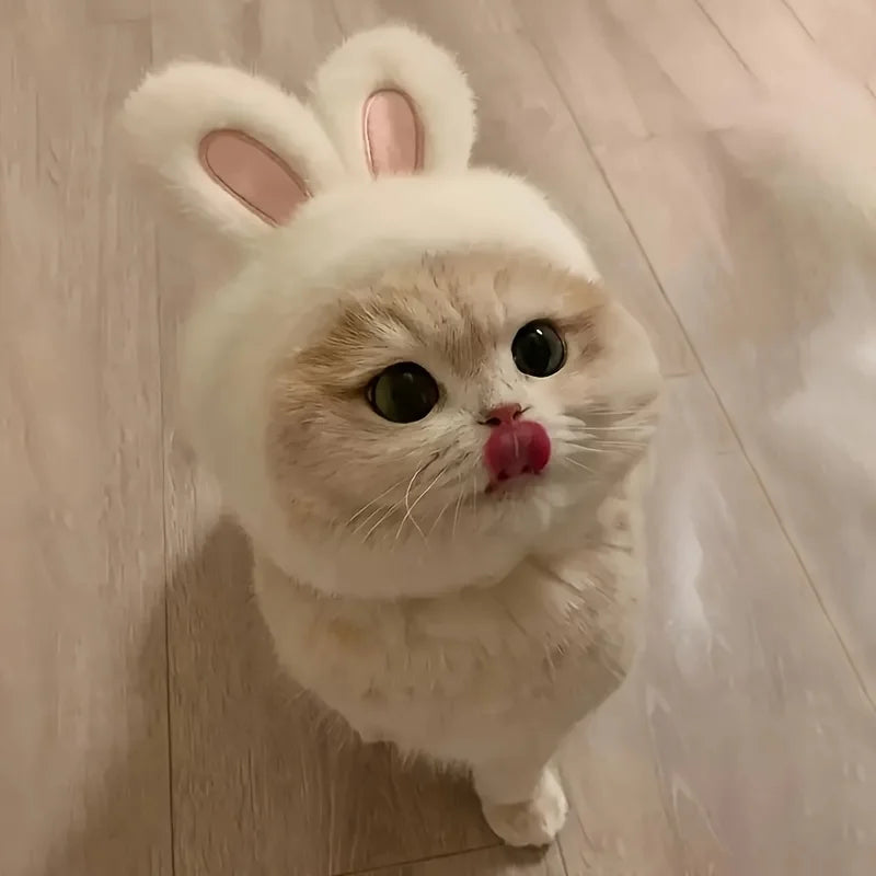 Bunny Ears Pet Hat – Cute Knit Costume for Cats & Small Dogs