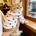 Strawberry Print Pet Dress – Cute Lace Summer Outfit for Small Dogs & Cats