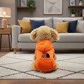 Pet Sweater with Denim Pocket – Warm Autumn & Winter Outfit for Dogs & Cats