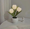 LED Tulip Flower Lamp – Romantic Night Light & Room Decor Gift
