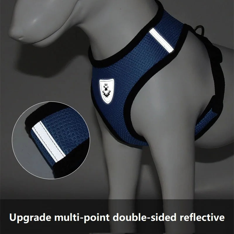 Adjustable Escape-Resistant Cat Harness & Leash Set – Soft Vest for Cats & Kittens