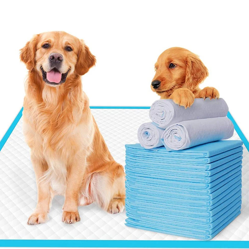 100PCS Super Absorbent Pet Training Pads – Quick-Dry Disposable Pee Pads