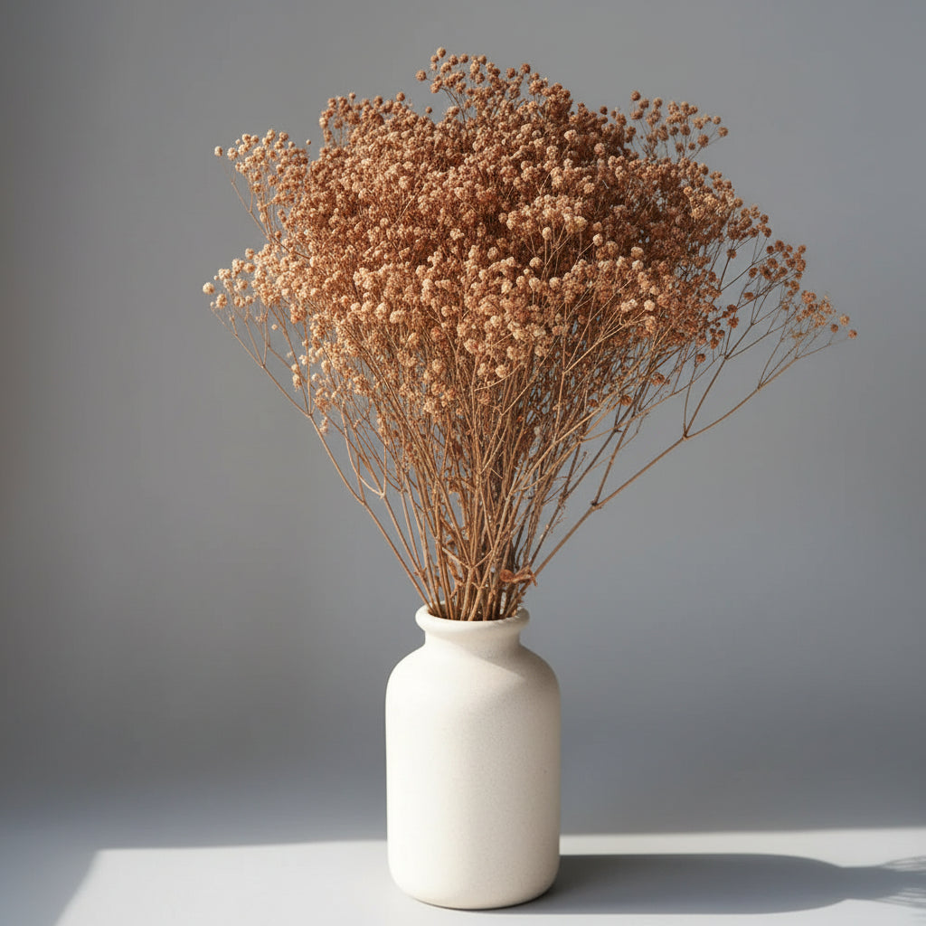 Natural Preserved Dried Baby’s Breath Flowers – Decorative Gypsophila Bouquet
