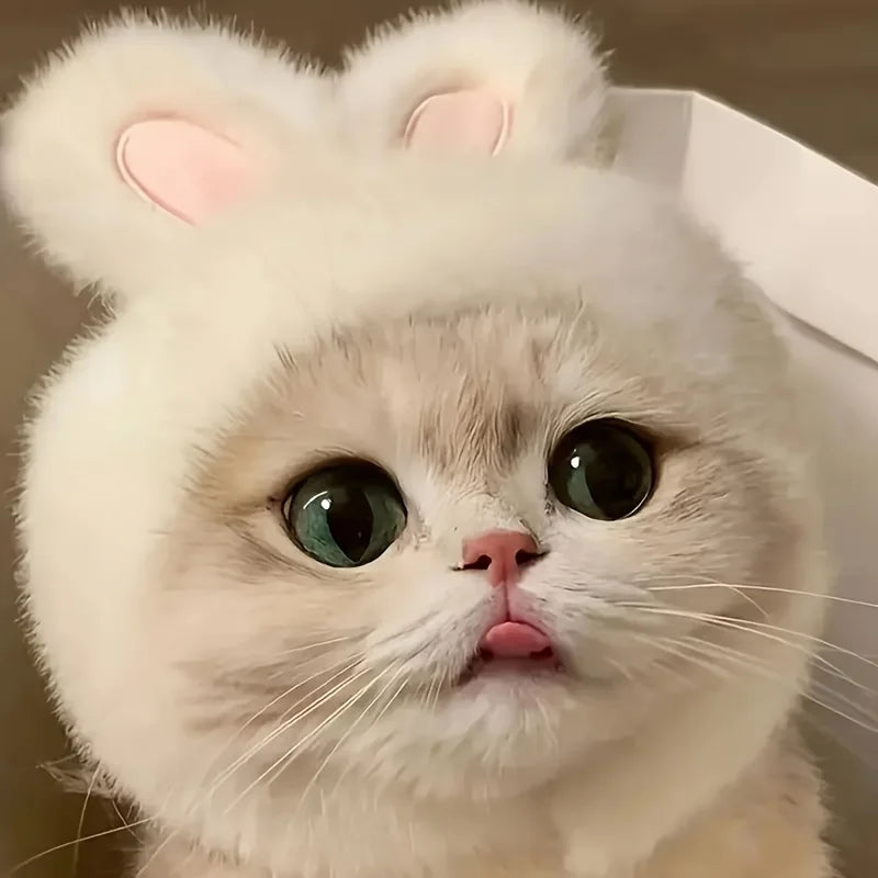 Bunny Ears Pet Hat – Cute Knit Costume for Cats & Small Dogs