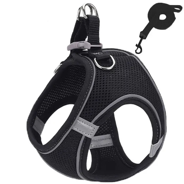 Reflective Adjustable Pet Harness & Leash Set – For Cats & Small Dogs