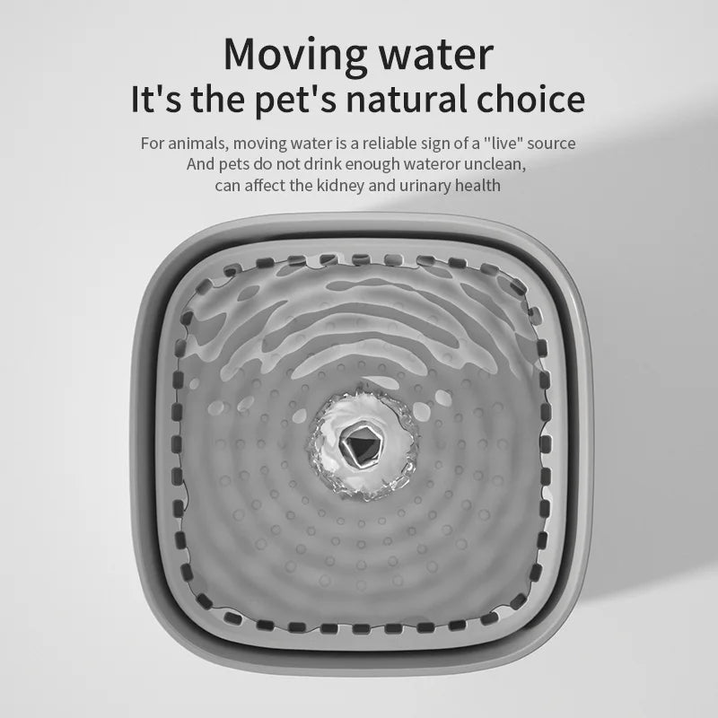 3L Filtered Water Dispenser for Pets