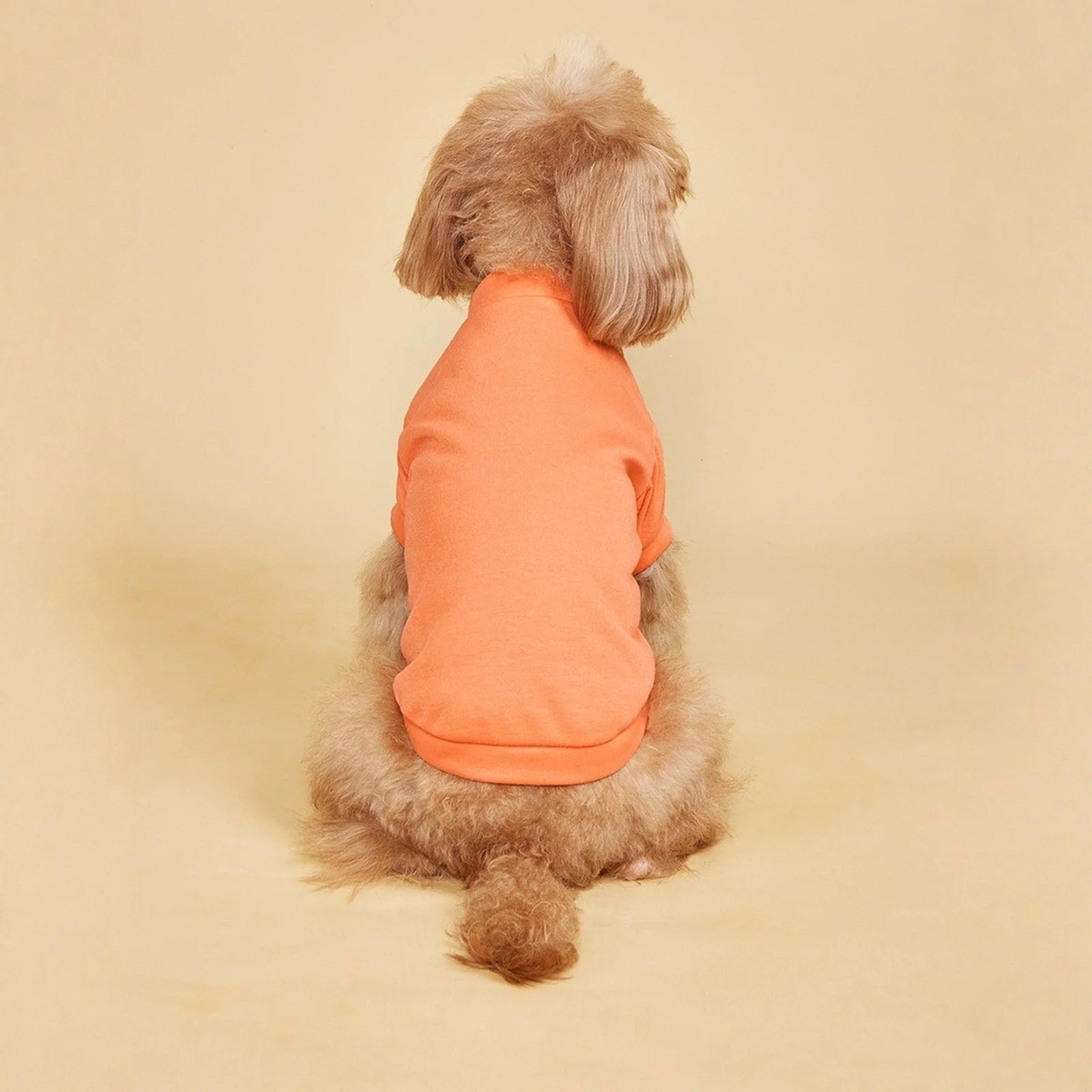 Breathable Dog T-Shirt – Lightweight Summer Vest for Dogs
