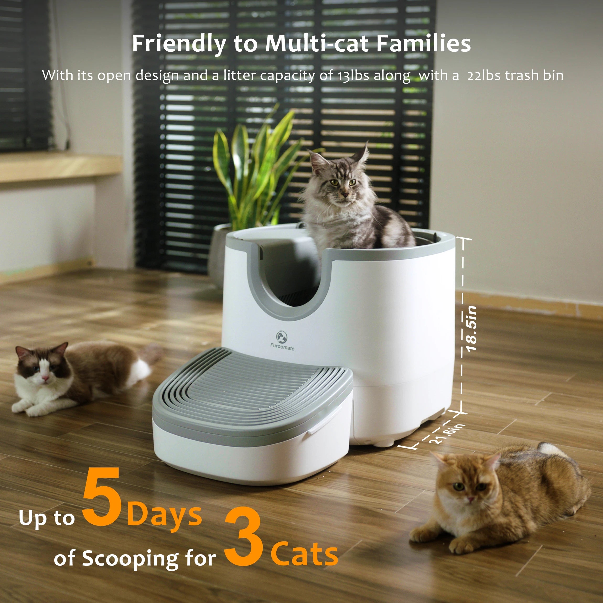 Self-Cleaning Open-Top Cat Litter Box – Extra Large Automatic Litter Box