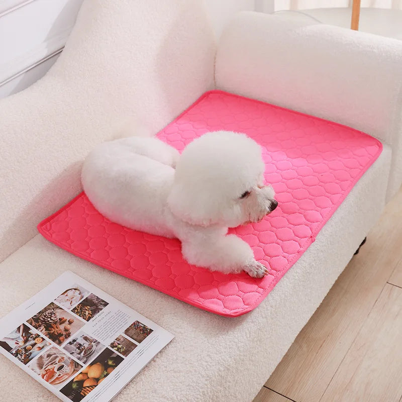 Reusable Washable Dog Pee Pad – Absorbent Pet Training & Protection Mat